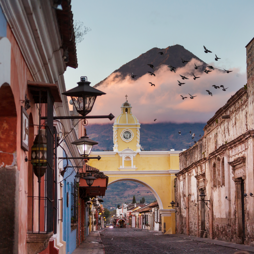 Region - Mexico + Central America